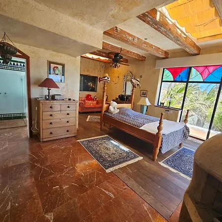 La Ranita 4 Siddhartha