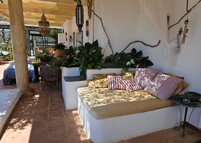 La Ranita 4 Siddhartha