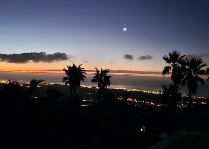 La Ranita 4 Siddhartha *