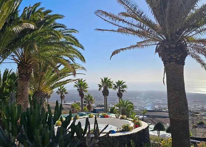 La Ranita 4 Siddhartha