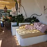 La Ranita 4 Siddhartha